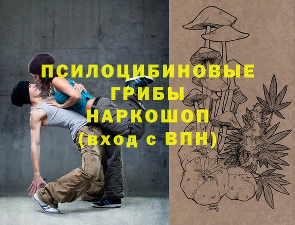 a pvp Алексин