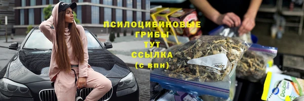 a pvp Алексин