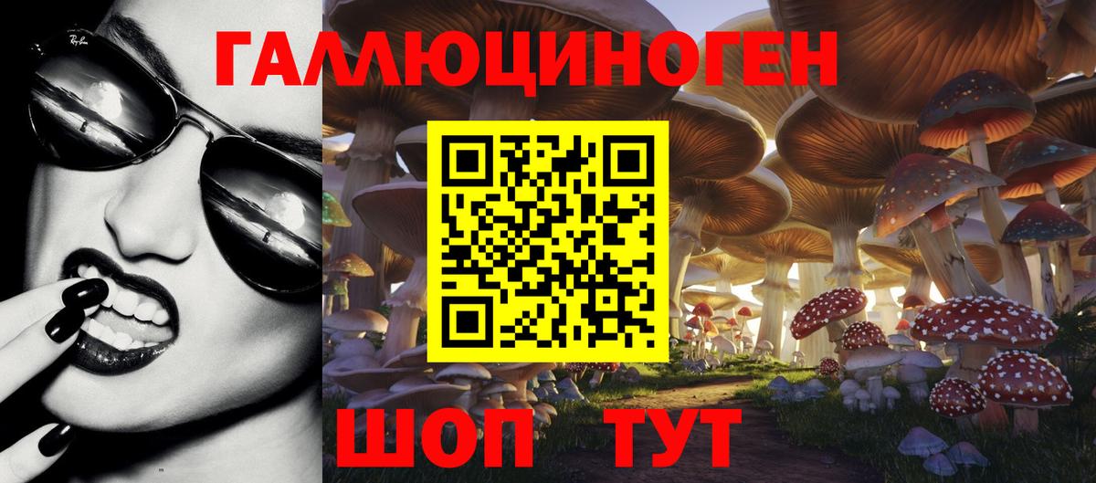 Галлюциногенные грибы прущие грибы Ленинск-Кузнецкий