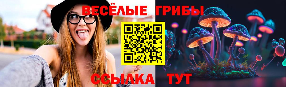 Галлюциногенные грибы Cubensis  как найти закладки  Ленинск-Кузнецкий  Вход с VPN 